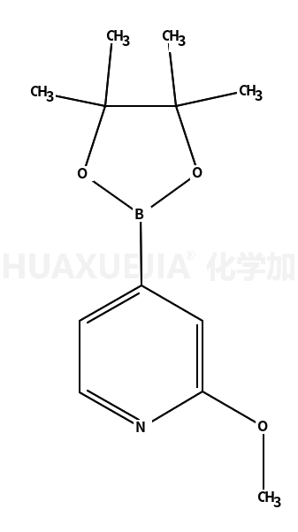 2-甲氧基吡啶-4-戊酰硼酸