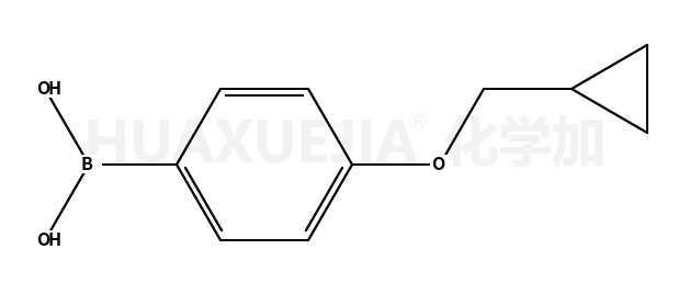 4-环丙甲氧基苯硼酸