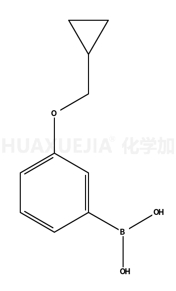 3-环丙基甲氧基苯甲酸