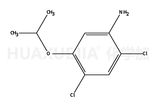 2,4-二氯-5-异丙氧基苯胺