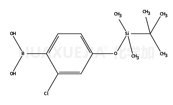 2-氯-4-(TBDMSO)-苯硼酸