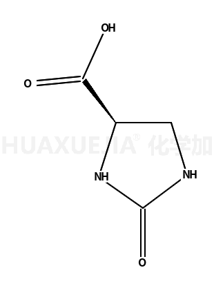 2-咪唑烷酮-4-羧酸