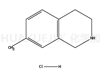7-甲基-1,2,3,4-四氫-異喹啉鹽酸鹽