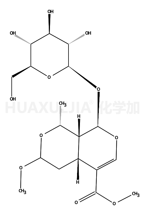 41679-97-4结构式