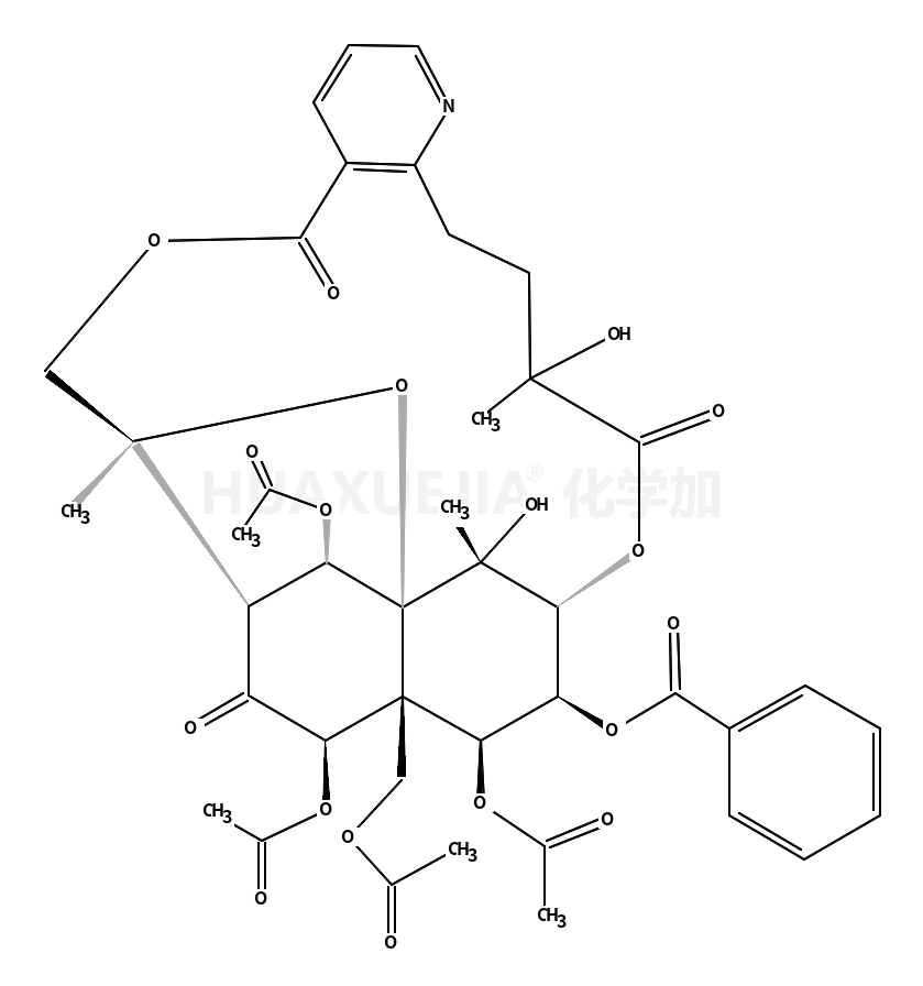 鬼箭羽碱，叶含卫矛碱