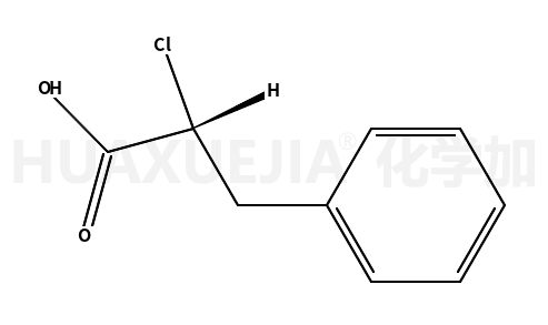 S-2-氯-3-苯基丙酸