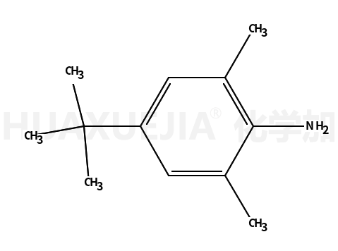 4-叔丁基-2,6-二甲基-苯胺