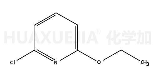 2-氯-6-乙氧基吡啶