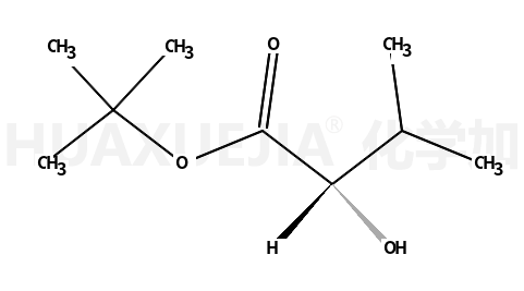 (R)-2-羟基-3-甲基丁酸叔丁酯