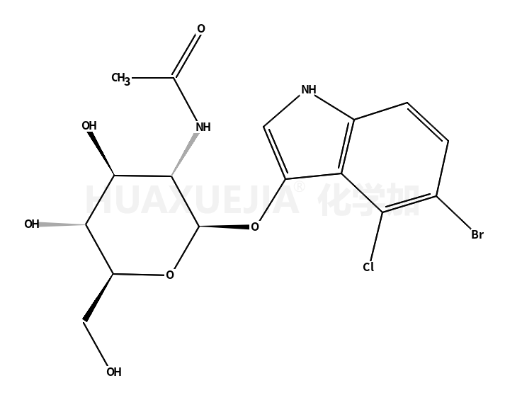 5-溴-4-氯-3-吲哚基-N-乙酰-β-D-氨基葡萄糖苷