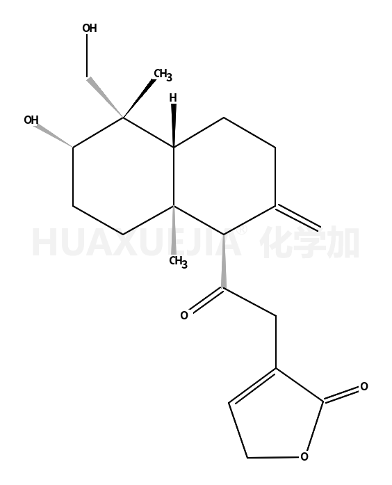 14-去氧-11-氧代-穿心莲内酯