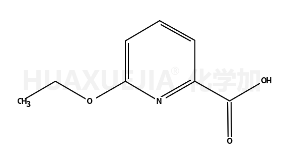 6-乙氧基吡啶-2-甲酸