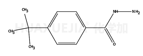 对叔丁基苯甲酰肼