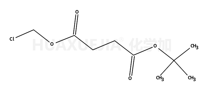 1-氯甲基-4-叔丁基丁二酸酯