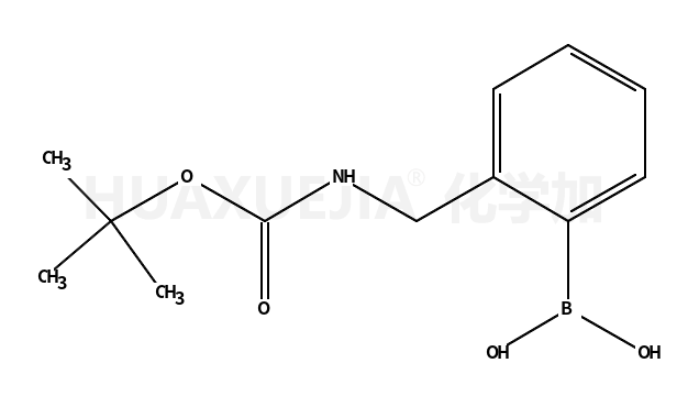 2-Boc-氨基甲基苯硼酸