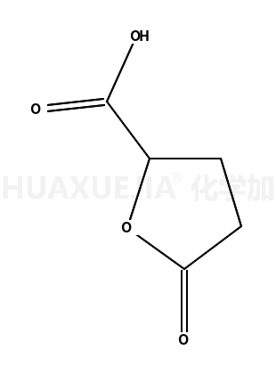 四氢-5-氧代-2-呋喃羧酸