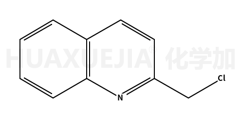 2-(氯甲基)喹啉
