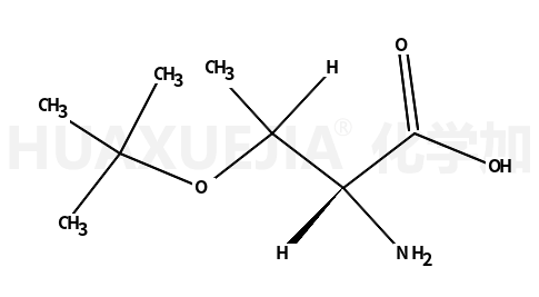 O-叔丁基-L-苏氨酸