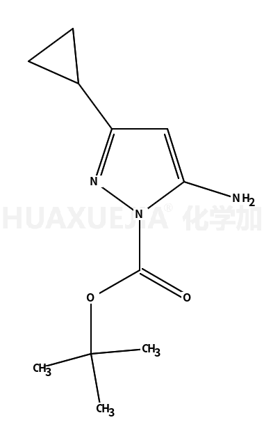 5-硝基-3-环己基-1-氢-吡唑-1-羧酸叔丁酯