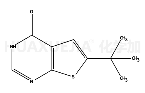 6-叔丁基-3H-噻吩[2,3-D]嘧啶-4-酮