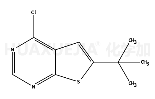 6-(叔丁基)-4-氯噻吩并[2,3-d]嘧啶