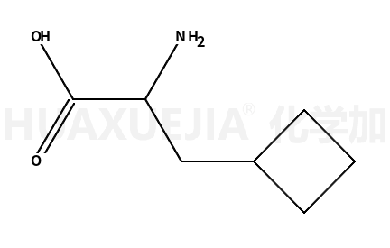 环丁基丙氨酸