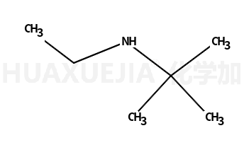 N-叔丁基乙胺
