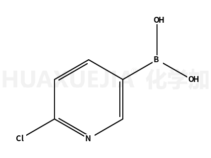 2-氯-5-吡啶硼酸