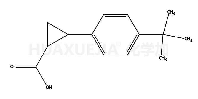 2-(4-叔丁基-苯基)-環丙烷羧酸