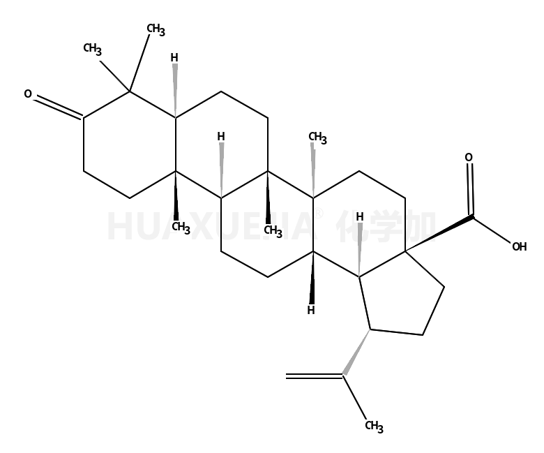 Betulonicacid