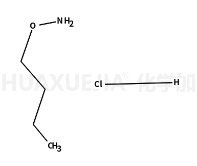 O-丁基羟胺盐酸盐