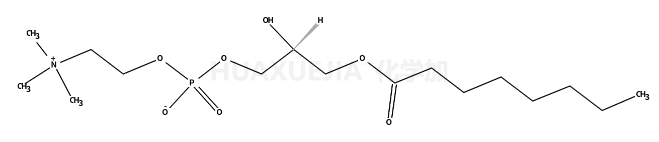 1-octanoyl-2-hydroxy-sn-glycero-3-phosphocholine