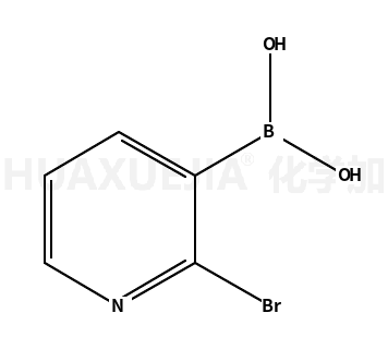 2-溴吡啶-3-硼酸