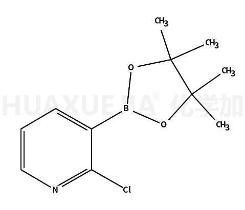 2-氯-吡啶-3-硼酸頻哪醇酯