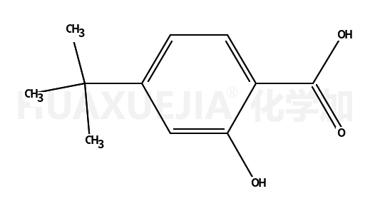 4-叔丁基-2-羟基苯甲酸