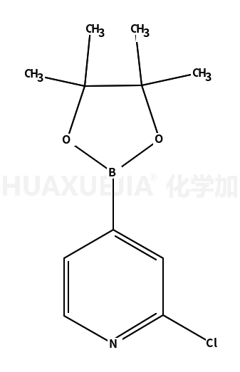 2-氯吡啶-4-硼酸频哪醇酯