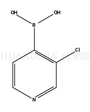 3-氯-4-硼酸吡啶