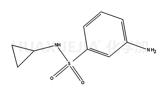 N-环丙基-3-氨基苯磺酰胺