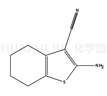 2-氨基-3-腈基-4,5,6,7--四氢苯并[B]噻吩