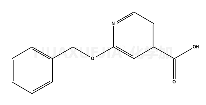 2-(苯基甲氧基)-4-吡啶羧酸