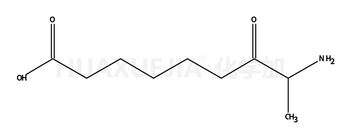 8-氨基-7-氧代壬酸