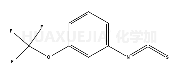 1-异硫代氰酰基-3-(三氟甲氧基)苯