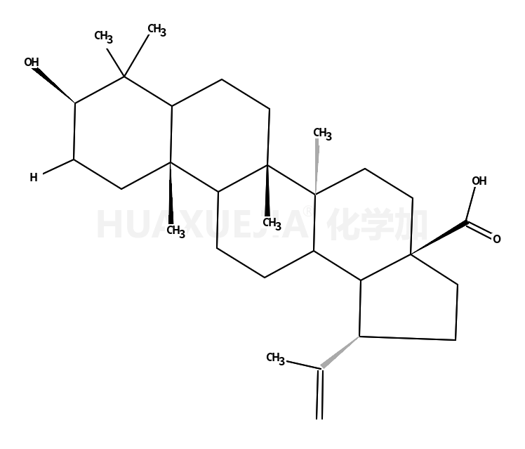 betulinic acid