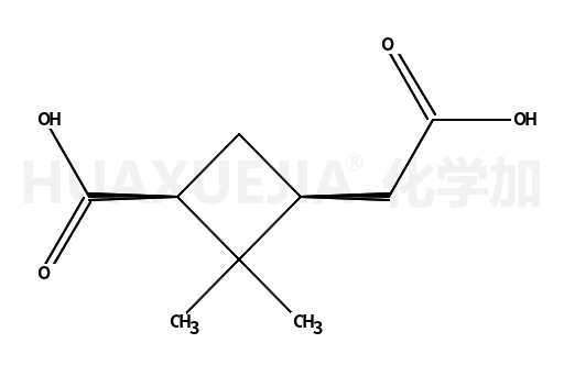 3-(carboxymethyl)-2,2-dimethylcyclobutane-1-carboxylic acid