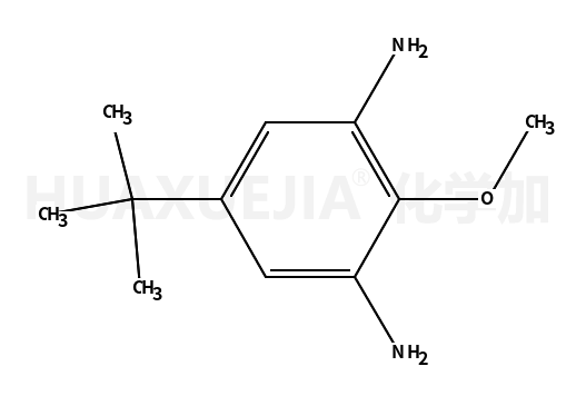 4-叔丁基-2,6-二氨基苯甲醚