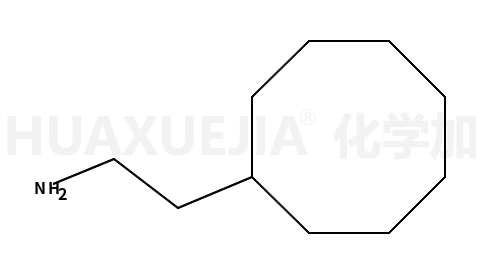 2-环辛基乙胺