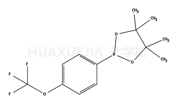 4-(三氟甲氧基)苯硼酸频那醇酯