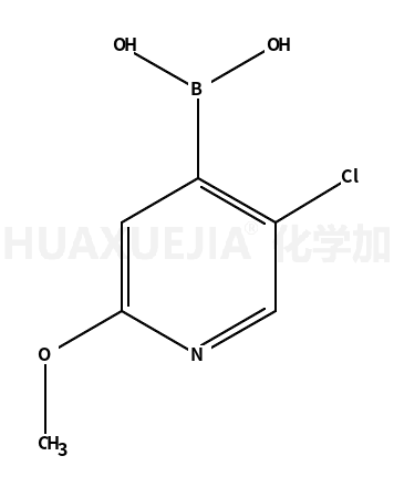 5-氯-2-甲氧基-4-吡啶硼酸