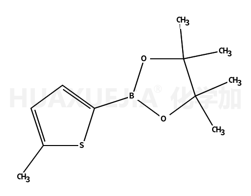 5-甲基噻吩-2-硼酸频那醇酯
