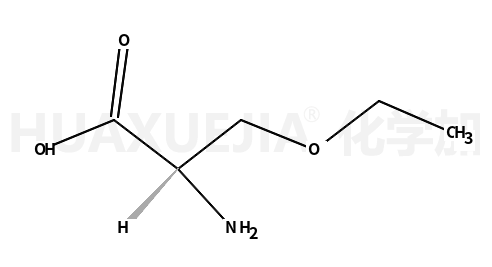 O-乙氧基-L-丝氨酸盐酸盐